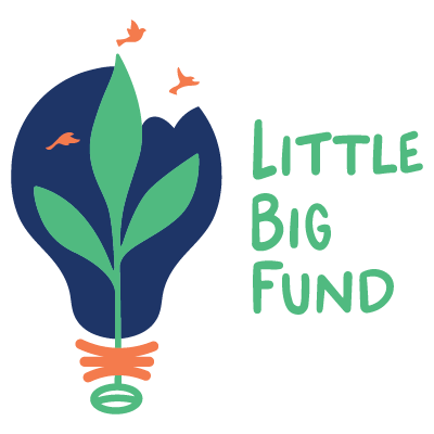 Little Big Fund